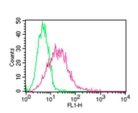 Figure 2: Flow Cytometry analysis:  Anti-PD-1 (Opdivo) binds on the cell surface of PD-1 stable cell line (Cat No. 14-500ACL) using 0.5 ug of antibody. Green represents Anti-human IgG isotype control, red represents Anti-PD-1 (Opdivo)(Nivolumab biosimilar). FITC conjugated Goat anti-Human Fc was used as secondary antibody.